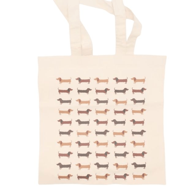Dachshund by Lottie
