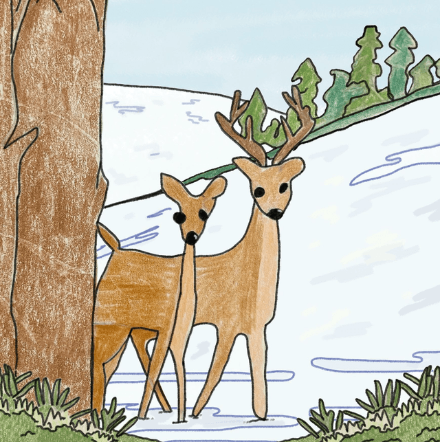 Christmas Card Packs 2025