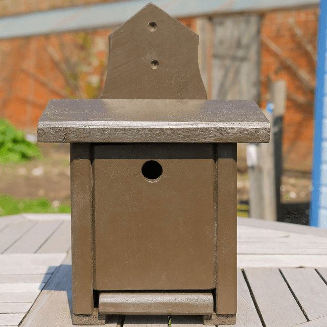 Bird Box